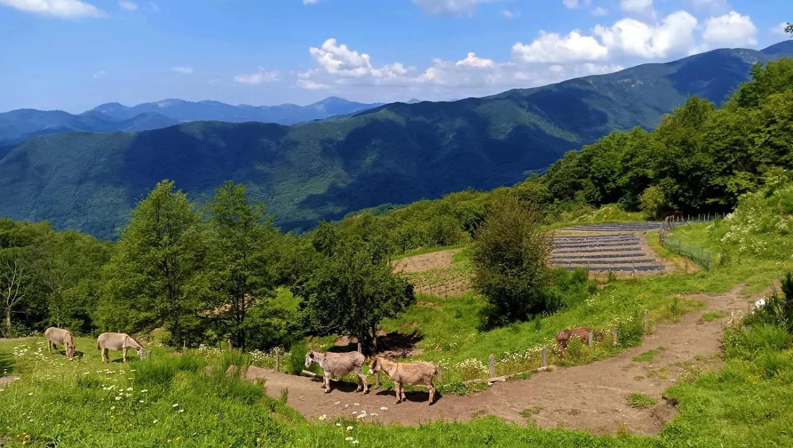 Terra Del Bosco Agriturismo