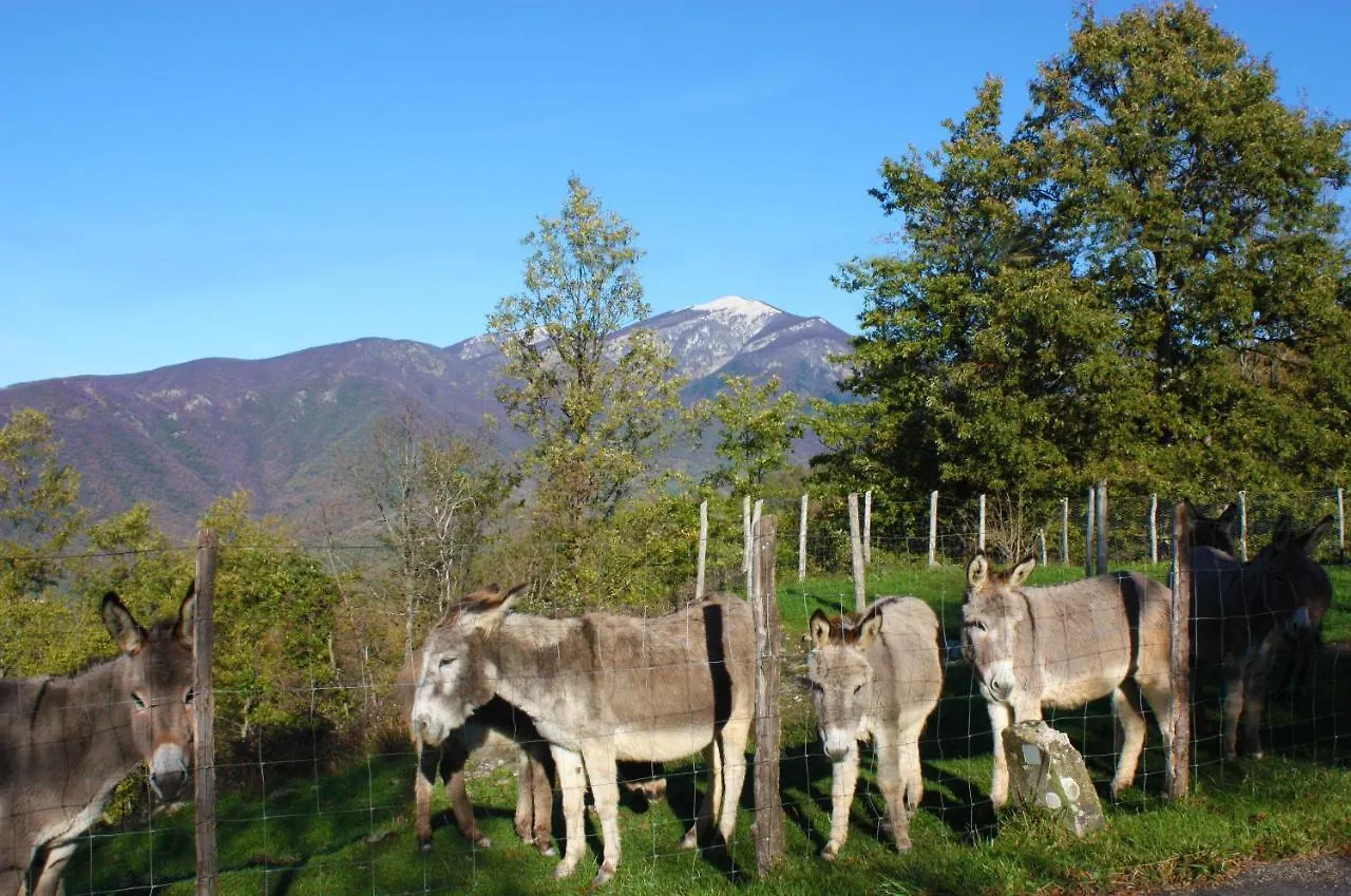Terra Del Bosco Agriturismo